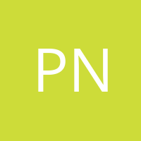 Pap Nimród