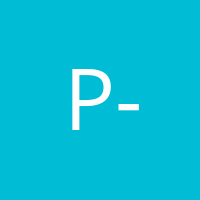 Péter Kocsis - Airsoft Közösség Elnöke, Celebverő, Tiszteletbeli Sztárgyalázó, Uralkodó Cár